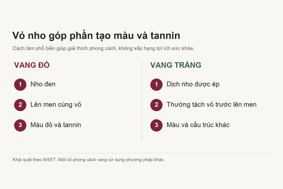 Vỏ nho góp phần tạo màu và tannin. Nguồn: WSET; sơ đồ: QKAWine.