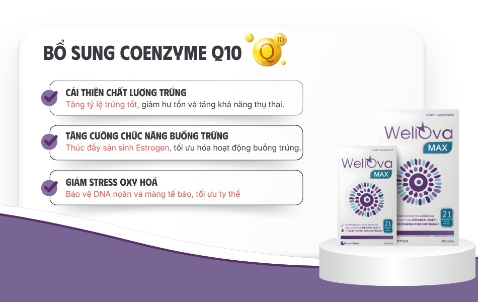 Coenzyme Q10 hỗ trợ tối ưu năng lượng ty thể và bảo vệ cấu trúc noãn