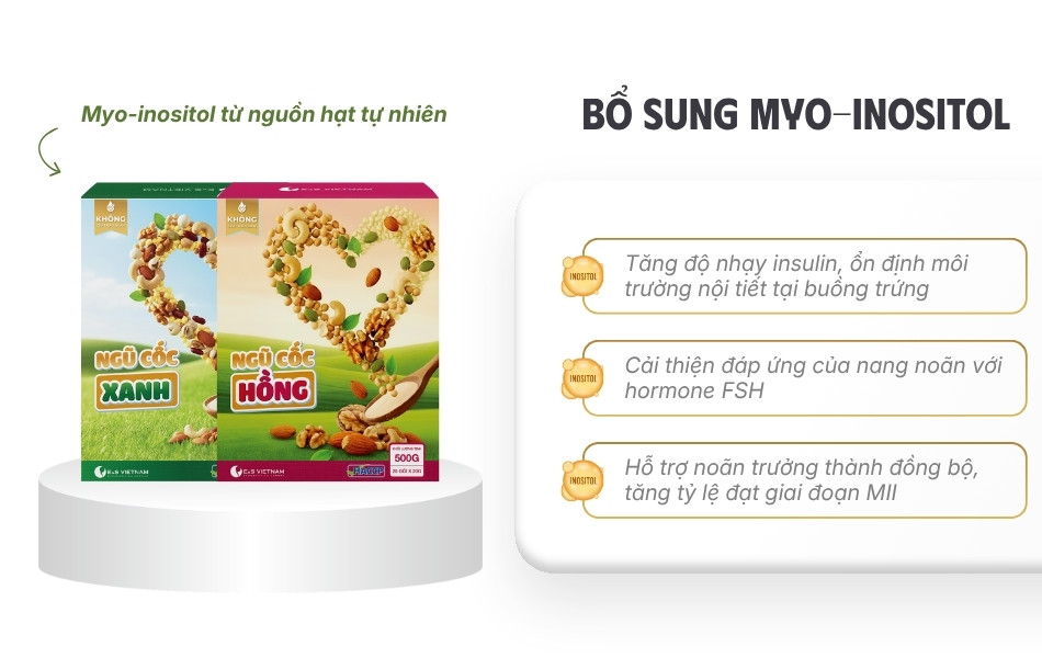 Myo-inositol hỗ trợ điều hòa tín hiệu nội tiết và hỗ trợ trưởng thành noãn