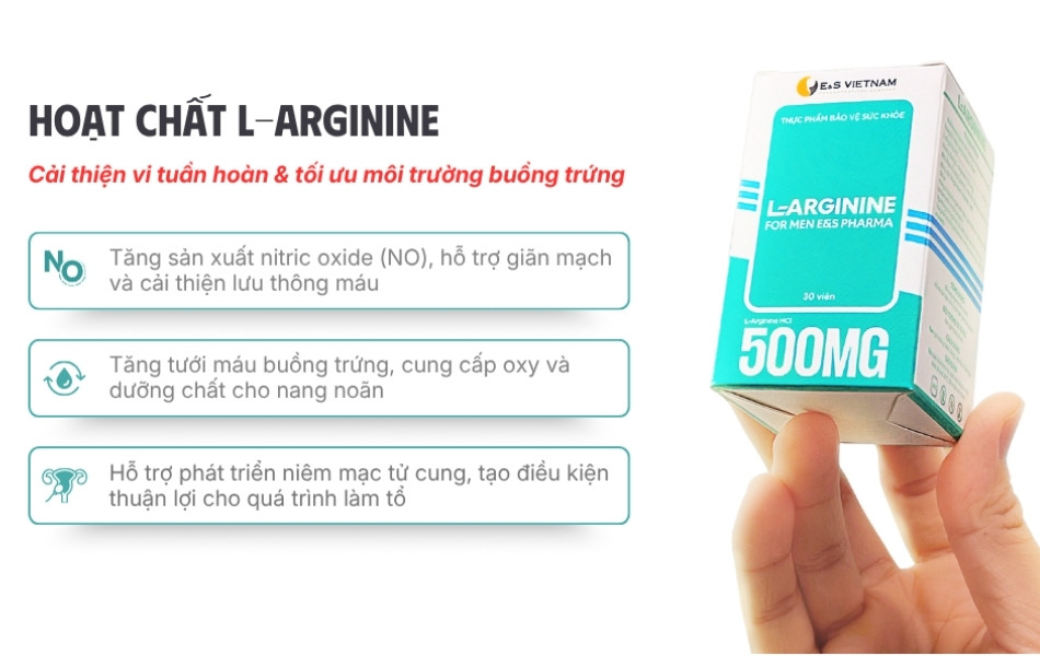 L-Arginine hỗ trợ cải thiện vi tuần hoàn và tối ưu môi trường buồng trứng