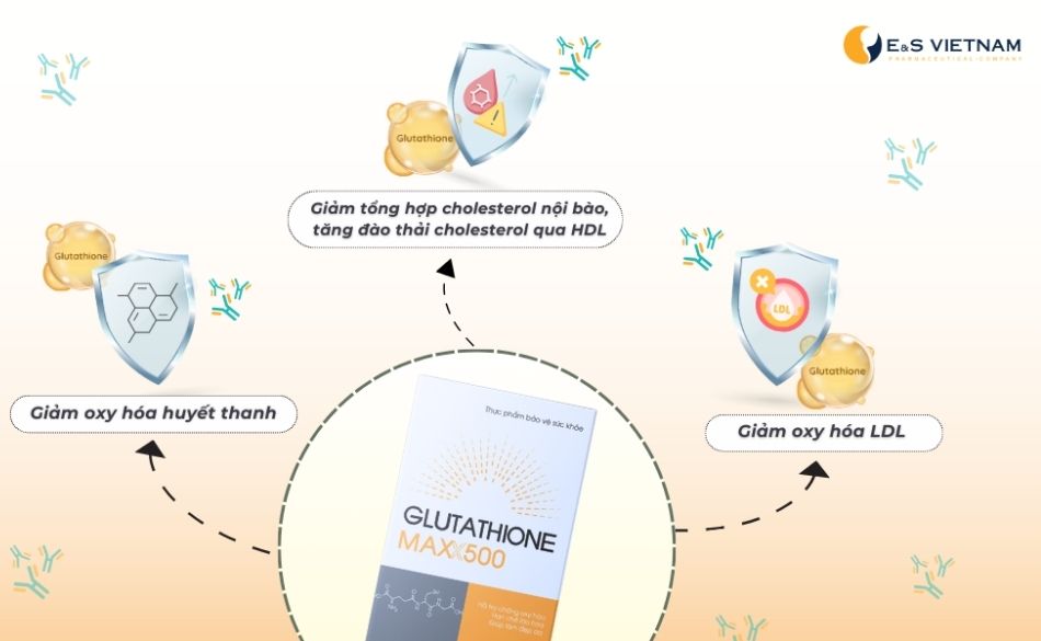 Tác dụng của Glutathione trong việc kiểm soát mỡ máu cao và xơ vữa động mạch