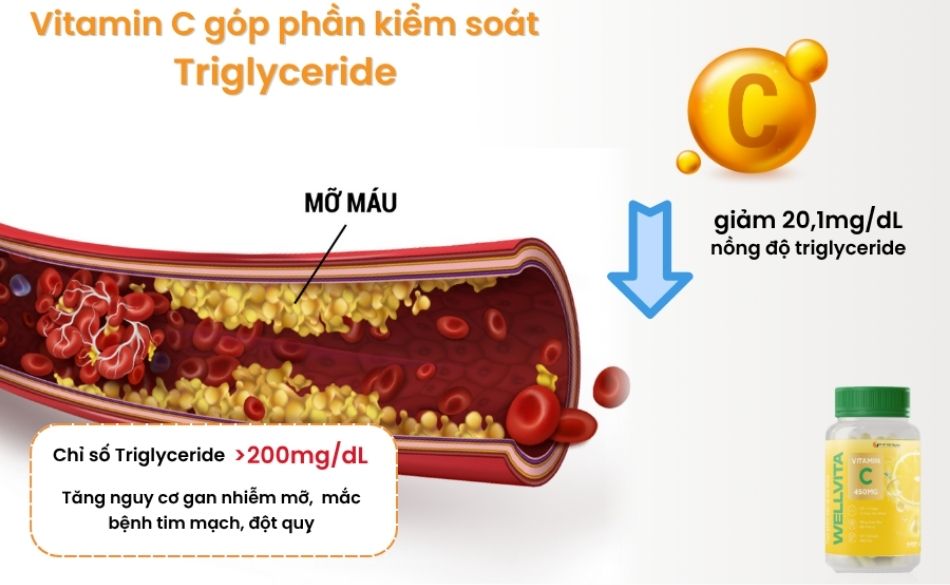 Chỉ số mỡ máu Triglyceride giảm sau khi bổ sung vitamin C thường xuyên