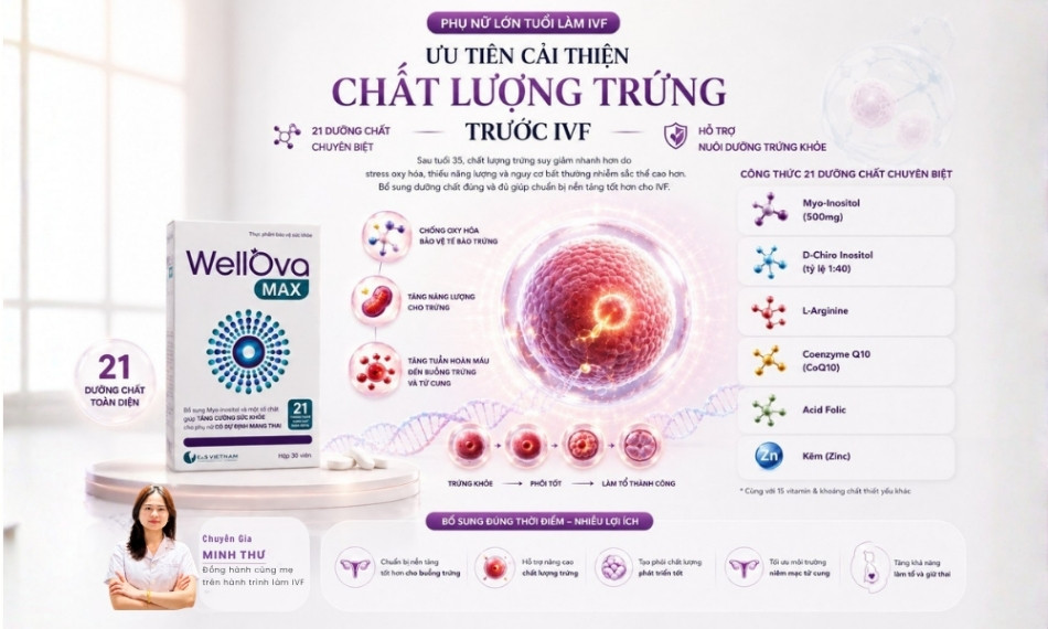 Viên uống bổ trứng WellOva Max cung cấp các dưỡng chất toàn diện hỗ trợ mẹ lớn tuổi làm IVF