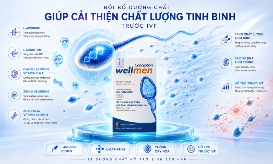 Viên uống bổ tinh trùng là giải pháp tối ưu hỗ trợ các bố lớn tuổi cải thiện chất lượng tinh binh trước khi làm IVF