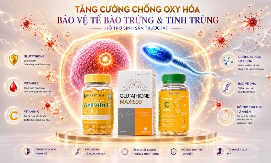 Combo xây dựng hàng rào bảo vệ tế bào trứng, tinh trùng trước các gốc tự do