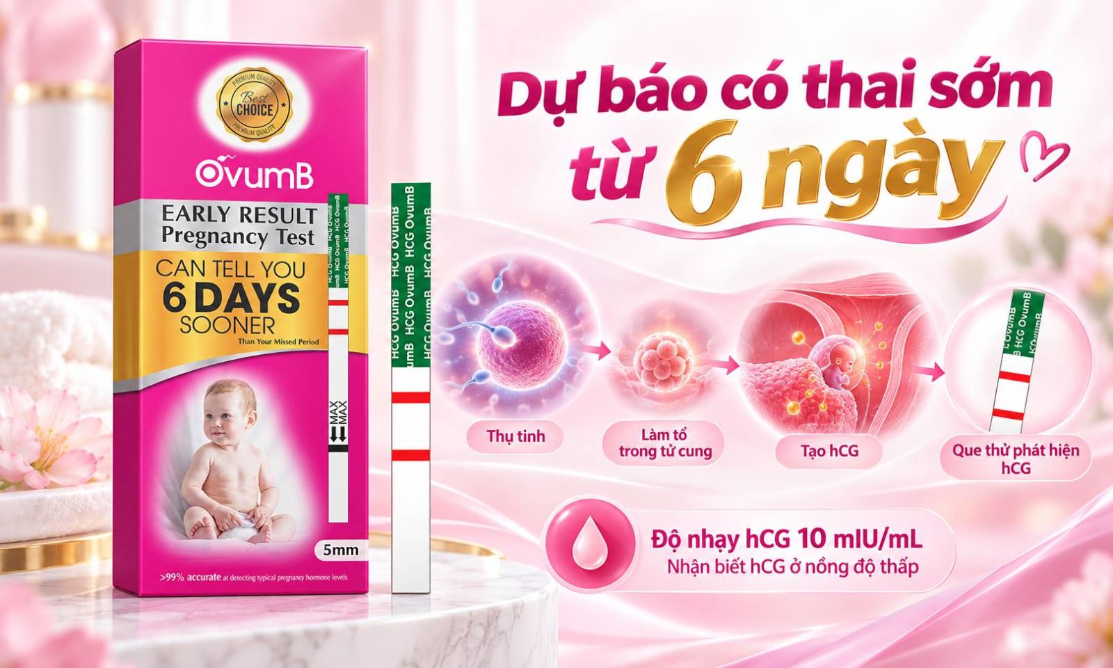Que thử thai OvumB hỗ trợ nhận biết thai sớm