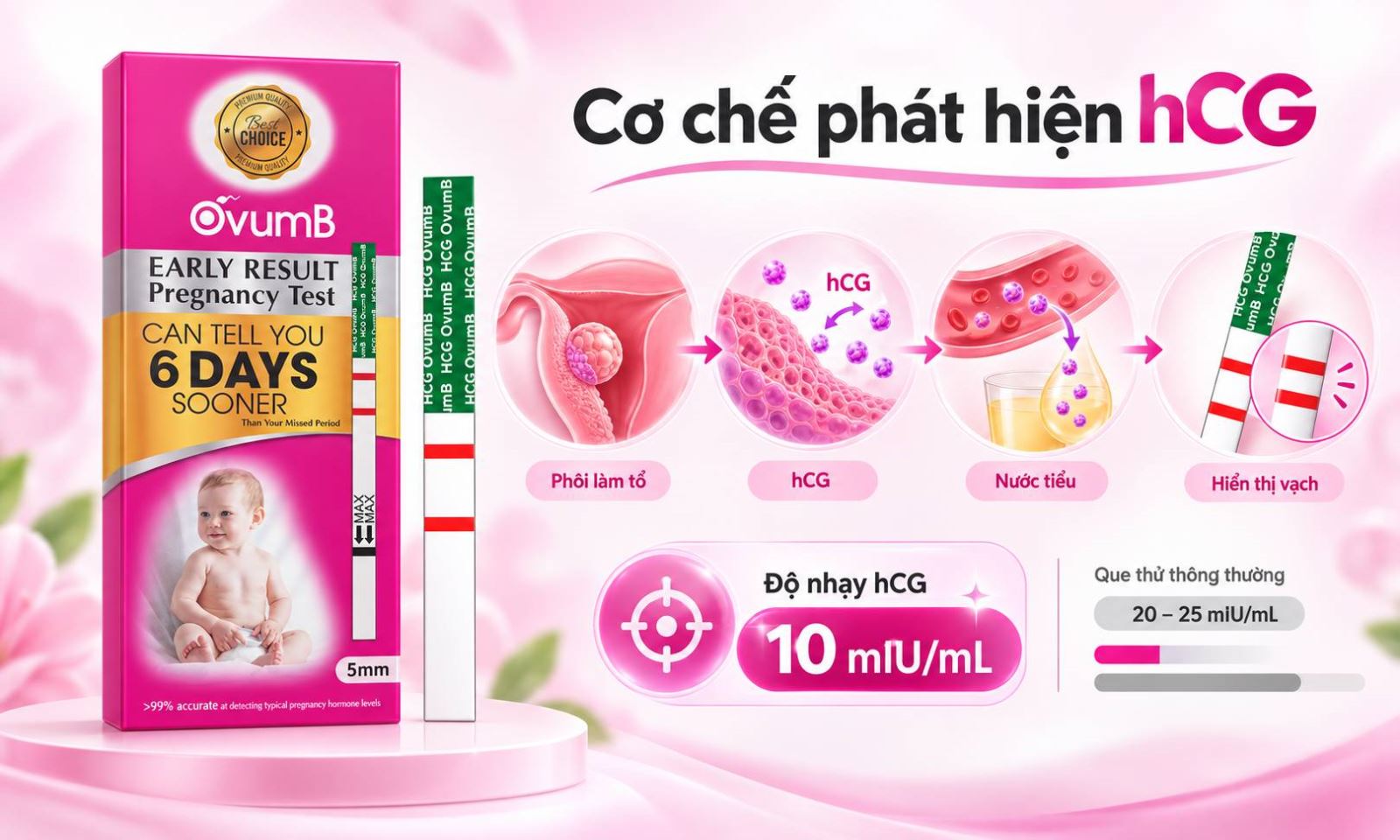 Cơ chế phát hiện hormone hCG của que thử thai OvumB