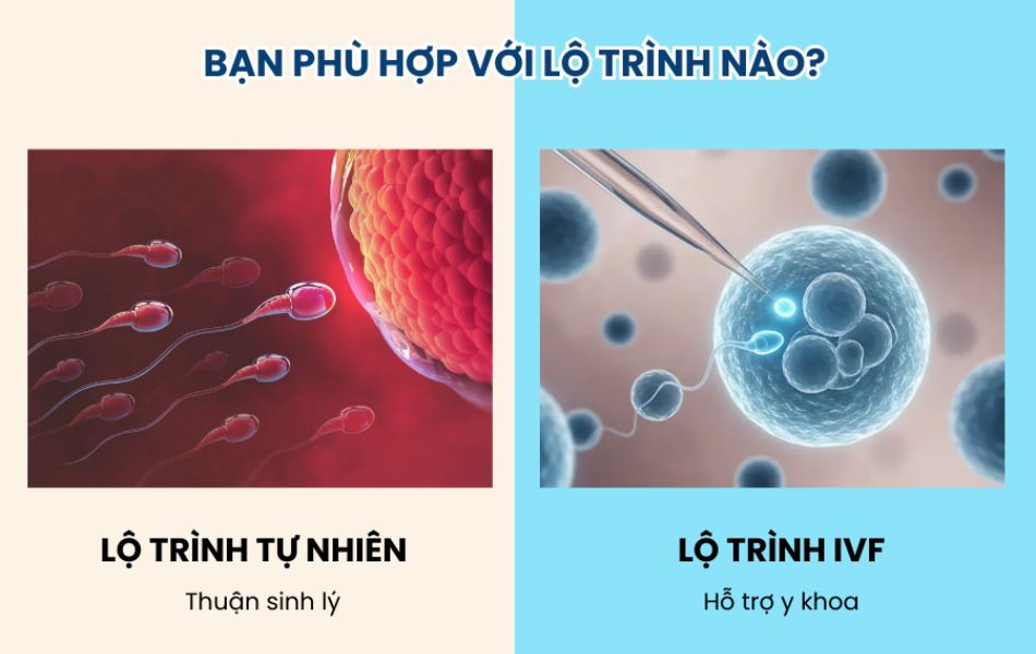Lộ trình sinh con