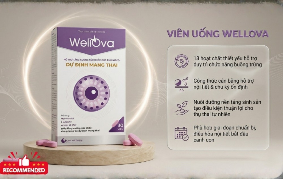 Viên uống bổ trứng WellOva phù hợp với giai đoạn chuẩn bị canh con