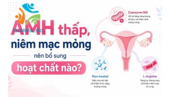 AMH thấp, niêm mạc mỏng nên bổ sung hoạt chất nào?