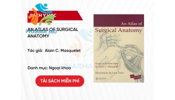 PDF An Atlas of Surgical Anatomy