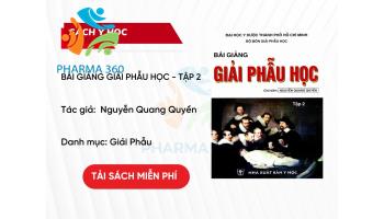 PDF Bài Giảng Giải Phẫu Học – GS. Nguyễn Quang Quyền Tập 2