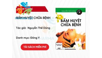 PDF Bấm huyệt chữa bệnh của tác giả Nguyễn Thế Dũng