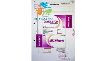Viên nang cứng Clindamycin 300 mg - Cách sử dụng theo Bộ y tế