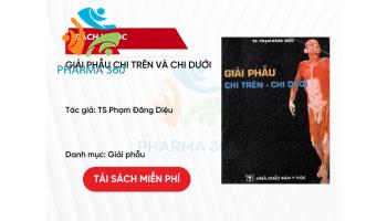 PDF Giải Phẫu Chi Trên Và Chi Dưới - TS Phạm Đăng Diệu