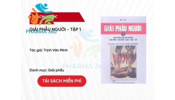 PDF Giải phẫu người - Tập 1 - Trịnh Văn Minh