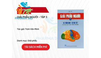 PDF Giải phẫu người - Tập 3 - Trịnh Văn Minh