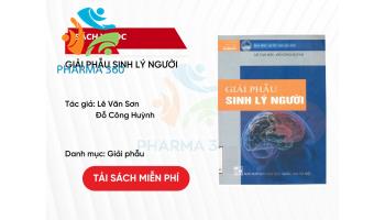 PDF Giải Phẫu Sinh Lý Người – ĐH Quốc Gia Hà Nội