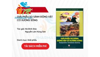 PDF Giải phẫu so sánh động vật có xương sống - Hà Đình Đức và Nguyễn Lân Hùng Sơn