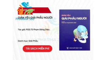 PDF Giản Yếu Giải Phẫu Người - PGS.TS Phạm Đăng Diệu