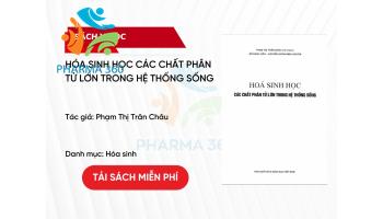 PDF Hóa Sinh Học các Chất Phân Tử Lớn trong Hệ Thống Sống - Phạm Thị Trân Châu