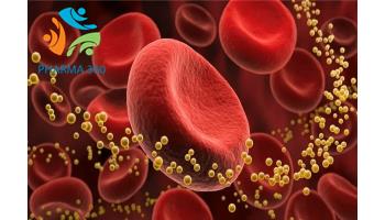 Lipid máu là gì? Hiểu đúng về cholesterol, LDL, HDL và triglyceride