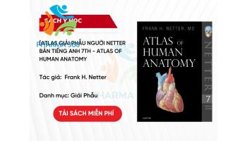 PDF Atlas giải phẫu người Netter bản Tiếng Anh 7th