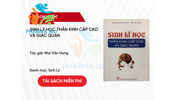 PDF Sinh Lý Học Thần Kinh Cấp Cao Và Giác Quan - Mai Văn Hưng