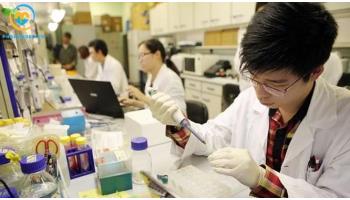 Công ty cổ phần DSL Global Tuyển nhân viên nghiên cứu phát triển