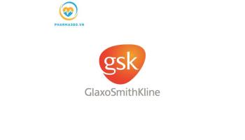 GlaxoSmithKline( VPDD GSK Viet Nam )