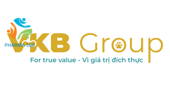 Công ty TNHH VKB Group